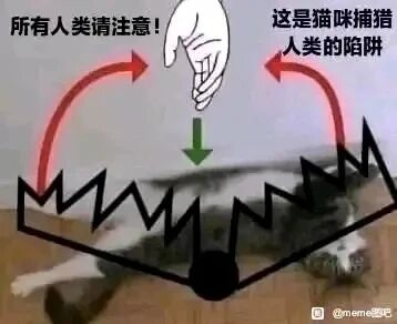 暂无描述