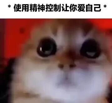 图片主体为一只近距离拍摄的猫咪特写，猫咪有着圆溜溜的大眼睛，眼神直视镜头，表情显得无辜又专注。图片顶部配有文字“*使用精神控制让你爱自己*”，通过可爱猫咪与“精神控制”这一略带夸张的表述形成幽默反差，以轻松诙谐的方式传递自我关爱的积极主题。
