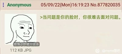 这是一张来自国外匿名论坛的社交媒体截图，顶部标注了匿名用户、发布时间2022年5月9日16:19:23以及帖子编号No.877820035。左侧是欧美网络社区流行的Wojak歪嘴光头卡通梗图，该形象表情无奈窘迫，带着尴尬的神态，完美呼应了右侧的配文“当问题是你的脸时，你很难去面对问题”。这句话用自嘲的方式调侃了外貌焦虑的处境，当自身的容貌成为需要直面的问题时，人往往会因为自卑、窘迫而难以正视，图中的梗图形象和文字形成了强烈的情绪共鸣。图片带有国内微博用户@野猪川苦茶 和百度贴吧@meme图吧 的水印，说明该内容被搬运到了国内社交平台进行传播。