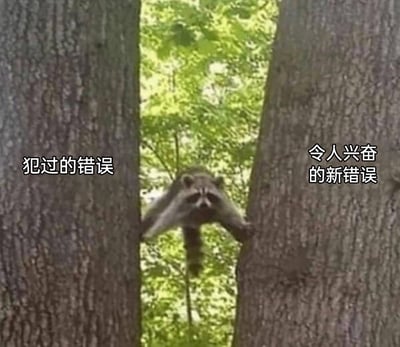 这是一张经过文字加注的静态梗图，画面核心是一只真实的浣熊，它的身体被夹在两棵粗壮的树干之间，两只前爪分别扒住两侧树干，表情看起来无奈又纠结。图片左侧树干配有文字“犯过的错误”，右侧树干配有文字“令人兴奋的新错误”，通过浣熊的处境拟人化地比喻人们面对过往的错误和未知的新错误时，既不想重蹈覆辙，又被新的可能性吸引的纠结心态，充满趣味和共鸣感。