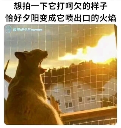 暂无描述