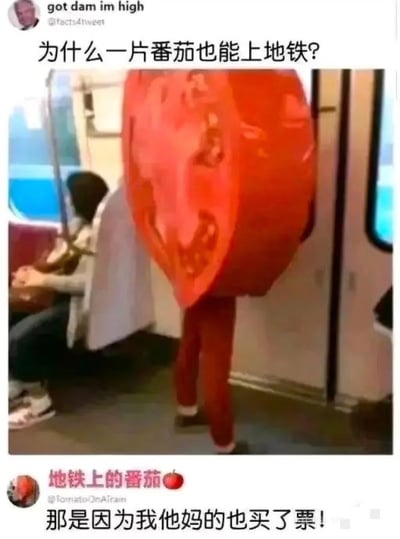 画面中有一名身穿番茄切片玩偶服装的人在地铁车厢内旁若无人地站着，引发乘客和网友的关注。上方的评论问“为什么一片番茄也能上地铁？”，而下面配有一条幽默回复：“那是因为我他妈的也买了票！”整体氛围轻松搞笑，利用了“番茄”本身具象化后带来的荒诞感，并通过拟人化和意外回答形成反差包袱，非常适合用于“我是凭本事”、“我也有资格”这类网络吐槽场景。

- 暗示：用“番茄买票”来拟人嘲讽质疑与正当权益，引发会心一笑。