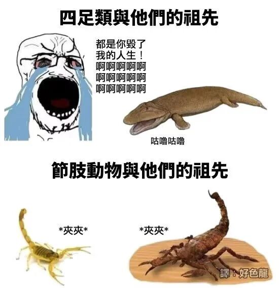 古生物复原图