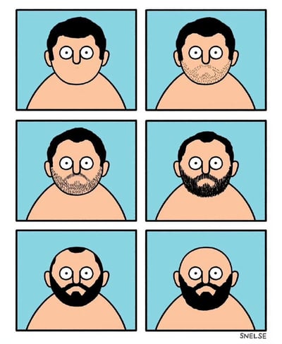 一张由六个方格组成的连环漫画，每个方格中都有一个上半身赤裸的卡通男子，背景为浅蓝色。从左上角到右下角，男子的面部毛发和发型逐渐变化：初始为无胡须、黑发；随后胡须逐渐变浓，从 stubble 到短胡须再到浓密胡须；同时头发逐渐变少，最终变为光头但保留胡须。右下角有“SNELSE”字样的水印。