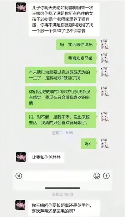 母亲通过聊天软件催促儿子回家相亲，称王姨介绍的28岁女老师满足所有条件（养猫、有房），并表示若不满足就别叫她妈。儿子回复称自己喜欢赛马娘，认为是赛马娘2鼓励了他，对20多次相亲均无感觉，只想做喜欢的事。母亲先是让父母静静，随后幽默反问王姨问的是长距离还是英里、喜欢芦毛还是栗毛，形成二次元爱好与现实相亲的搞笑对比。