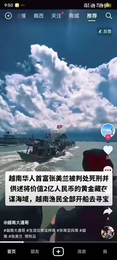 这是一张抖音平台的竖屏视频截图，画面主体是海面航行的渔船，天空布满厚重的云层。画面下方配有醒目的文字：越南华人首富张美兰被判处死刑并供述将价值2亿人民币的黄金藏在某海域，越南渔民全部开船去寻宝。截图还显示了抖音的界面元素，包括顶部的导航栏、右侧的点赞评论转发按钮，左下角标注了视频发布者账号@越南大通哥，整体内容属于海外猎奇类事件，以寻宝的噱头吸引观众。
