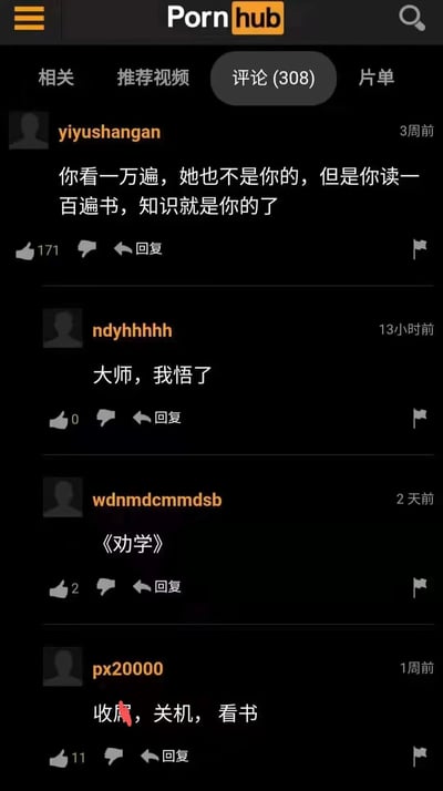 这是一张竖屏格式的Pornhub网站评论区屏幕截图，页面顶部显示网站的“Pornhub”标识，当前选中“评论(308)”标签页。截图展示了四条用户评论：3周前用户yiyushangan发布的第一条评论内容为“你看一万遍，她也不是你的，但是你读一百遍书，知识就是你的了”，该评论获得171个点赞；13小时前用户ndyhhhhh留言“大师，我悟了”表示附和；2天前用户wdnmdcmmdsb留言“《劝学》”，用古文篇名调侃这条励志评论；1周前用户px20000留言“收（内容被打码），关机，看书”，进一步传递放下娱乐去读书的态度。这些评论出现在成人娱乐平台的评论区，形成了强烈的场景反差，以幽默的方式劝诫用户脱离无意义的娱乐，专注于学习积累知识，是网络上流传的另类劝学热梗。