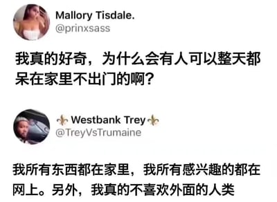 这是一张社交媒体截图，展示了两位用户的对话。上方用户Mallory Tisdale发文表示好奇“为什么会有人可以整天都呆在家里不出门”，下方用户Westbank Trey回复称“我所有东西都在家里，我所有感兴趣的都在网上。另外，我真的不喜欢外面的人类”。对话幽默地呈现了不同人对居家生活的态度，尤其是内向者对社交的回避和对线上生活的依赖，容易引发有类似感受人群的共鸣。