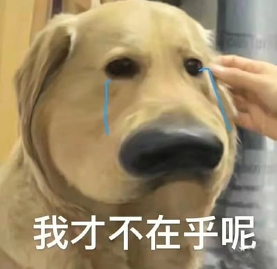 图片中是一只金毛犬的特写，它的眼睛下方被添加了蓝色的泪痕，显得十分悲伤。一只手正在轻轻抚摸它的头部，似乎在安慰它。图片底部有一行白色文字：“我才不在乎呢”，形成了情绪上的反差——狗狗悲伤的表情与文字表达的不在乎态度形成鲜明对比，传达出口是心非的情感状态。