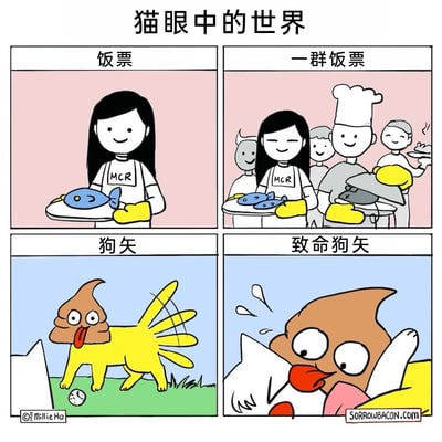这是一幅四格连环卡通漫画，以“猫眼中的世界”为主题，用夸张拟人化的视角展现猫的认知：左上分图里，端着鱼的人被标注为“饭票”，表现猫把给自己提供食物的人类看作“饭票”；右上分图里，一群端着各类食物的人被标注为“一群饭票”，强化猫将所有投喂者都归为“饭票”的认知；左下分图里，狗被画成狗屎的模样，标注为“狗矢”，用恶搞的方式表现猫对狗的另类认知；右下分图里，这个“狗矢”模样的形象凑近猫，猫露出惊恐的神态，标注为“致命狗矢”，夸张呈现猫对狗的恐惧。整体画风简洁卡通，用荒诞的比喻制造幽默效果。
