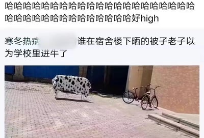 图片上方是大量连续的“哈哈哈哈”笑声文字及“好high”表达强烈的欢乐情绪，中间文字内容为“寒冬热病 谁在宿舍楼下晒的被子老子以为学校里进牛了”，下方是一张实拍照片：宿舍楼下的空地上，一个黑色斑点白色底色的被子被撑开晾晒，其花纹和形状从远处看酷似一头站立的牛，旁边停放着两辆自行车，背景是蓝色的门和砖墙。整体通过视觉误会制造笑点，展现校园生活中的趣事。