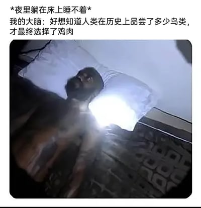 暂无描述