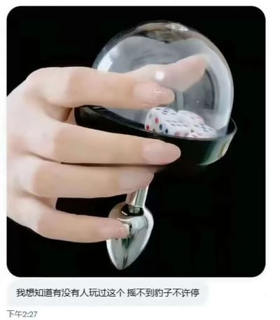 图片展示了一只手握着透明骰盅，里面装有骰子。底部配有文字"我想知道有没有人玩过这个 摇不到豹子不许停"和时间戳"下午2:27"。这里的"豹子"是骰子游戏术语，指三个骰子点数相同的情况。