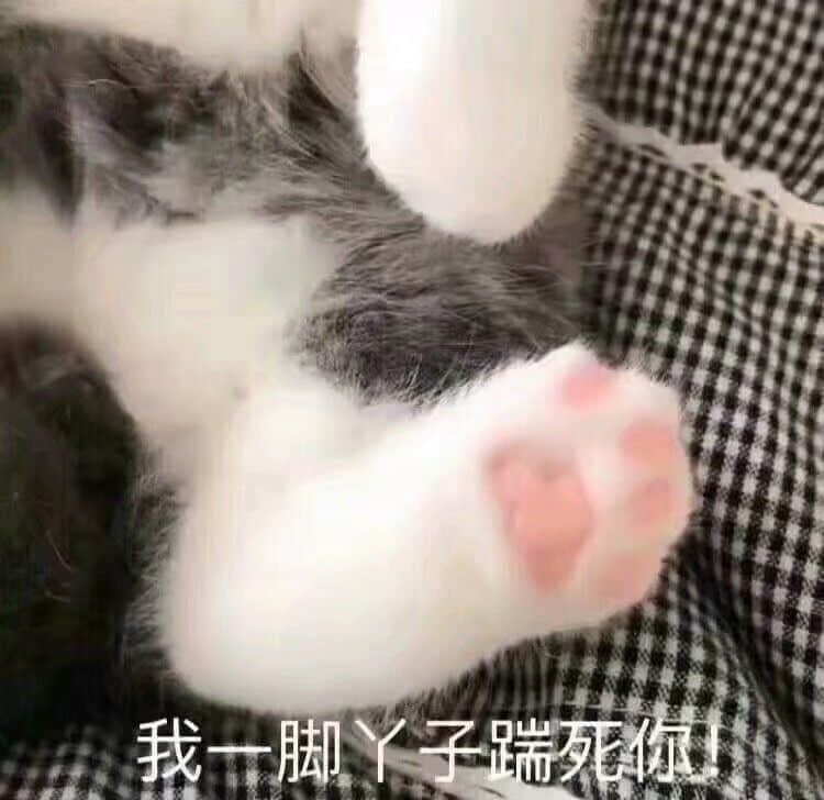 猫咪爪子表情包：我一脚丫子踹死你！