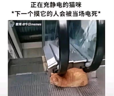 这是一张利用视觉错位制造笑点的搞笑梗图：一只橘猫刚好趴在自动扶梯的台阶下方，扶梯的扶手带位置恰好压在猫的头部上方，形成了“猫咪正在被扶手带充电”的错觉。图上方配文“正在充静电的猫咪 *下一个摸它的人会被当场电死*”，用夸张的脑洞式玩笑，把巧合的场景解读成猫咪在“充静电”，放大了画面的滑稽感，没有双关或谐音梗，纯靠视觉错位和搞笑文字制造趣味。