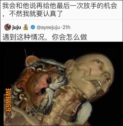 这张梗图上方是网友关于情感关系执着的文字，表示每次都会说“再给最后一次机会”，下方配以一条推特评论“遇到这种情况，你会怎么做”以及一张老虎正在咬住人类头部的3D渲染图片，暗示“再给最后一次机会”等于自欺欺人，会导致自己受伤甚至“心态爆炸”。整个画面采用夸张对比的手法，通过老虎极具冲击力的咬头画面表达出‘认真的代价’很惨烈。本图属于常见的“下头”“劝退”类表情包。无谐音梗，但有强烈反差和讽刺意味。