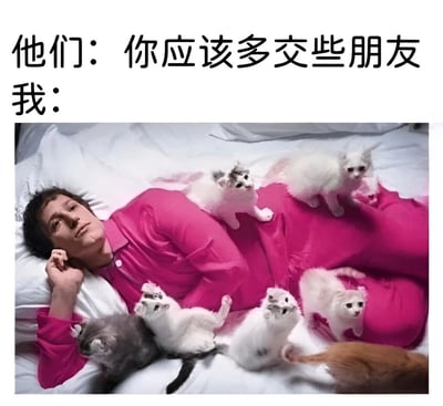 这是一张幽默对比梗图，上方文字写着"他们：你应该多交些朋友"和"我："，下方是一张照片：一个穿着粉色衬衫的男人躺在床上，周围环绕着多只可爱的小猫。图片通过对比的方式，幽默地表达了比起社交交朋友，更喜欢和猫咪相处的生活态度。