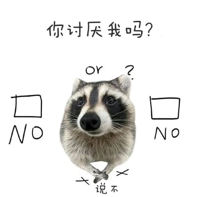 图片中央是一只表情疑惑的浣熊，它双手交叉呈X形放在胸前。上方有文字"你讨厌我吗?"，中间有"or ?"，浣熊左右两侧各有一个空白方框，下方分别写着"NO"。最底部有"说不"两个字。整体构图简洁有趣，通过浣熊可爱的表情和文字形成一种幽默的提问效果。