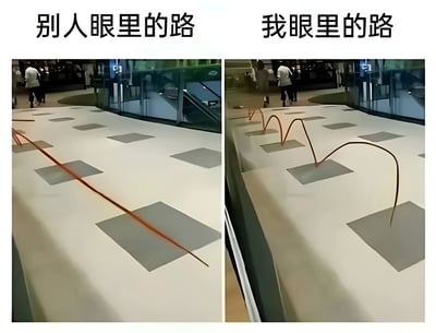图片为左右对比结构，左侧标题为'别人眼里的路'，展示一条橙色直线在方形地砖上延伸，象征他人视角中平坦直接的道路；右侧标题为'我眼里的路'，同样的地砖场景中，橙色线条却呈现弯曲缠绕的形态，幽默对比出自己视角中道路的复杂曲折。通过简单的视觉对比，生动表达了人们对同一事物（如人生道路）可能存在的不同认知和感受。