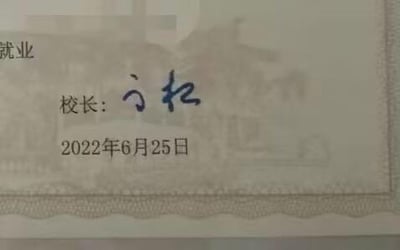 这是一张就业相关证书的局部翻拍图，带有装饰性边框，页面包含印刷文字与手写签名。印刷内容有左上角的“就业”字样、“校长:”标注，以及日期“2022年6月25日”，校长签名为手写的“方松”，背景带有模糊的图案，整体呈现正式文件的样式。