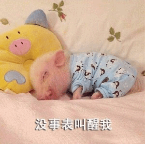 穿睡衣的小猪：没事表叫醒我
