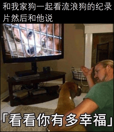 图片展示了一位男子和他的狗一起在客厅看电视的场景。电视屏幕上正在播放一只被关在笼子里的流浪狗，表情看起来很悲伤。男子坐在地上，一只手抚摸着自己的狗，似乎在进行某种情感教育。图片上方配有文字"和我家狗一起看流浪狗的纪录片然后和他说"，下方配有文字"「看看你有多幸福」"。整个场景通过对比家犬的舒适生活与电视中流浪狗的悲惨处境，创造出一种幽默又略带温馨的效果。