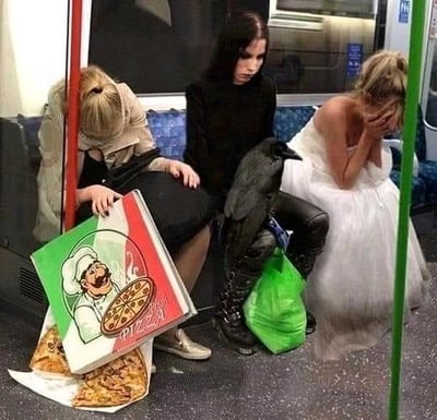 这是一张充满荒诞感的地铁车厢照片：画面左侧的女士低头看着掉落在地、已经散开的披萨盒，披萨散落在地面，看起来十分无奈；中间身着黑衣的女士面无表情地坐着，一只乌鸦突兀地站在她的膝盖上，违和感拉满；右侧穿着婚纱的女士捂脸，呈现出崩溃的状态。三个状态各异的人和一只不该出现在地铁里的乌鸦，共同构成了一个离奇又搞笑的违和场景，没有双关、谐音梗等内容。