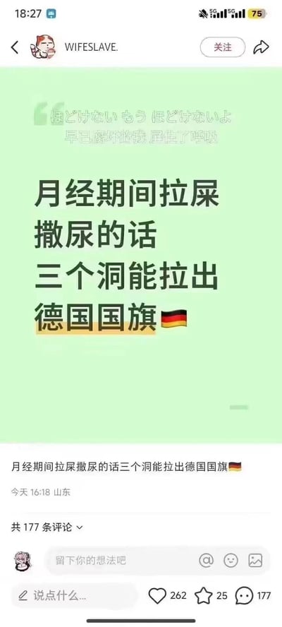这是一张社交平台的图文笔记截图，内容是一个低俗搞笑的女性生理相关段子：作者调侃女性在月经期间拉屎撒尿时，三个私密部位排出的经血、尿液、粪便的颜色，对应德国国旗的黑、红、黄三色，用夸张不雅的比喻制造恶趣味笑点，以此博眼球。笔记上方还有日文和中文的文艺小字“ほどけないもう ほどけないよ 早已腐坏的我 屏住了呼吸”，和下方的低俗段子形成反差。该笔记获得了262个点赞、25个收藏和177条评论。