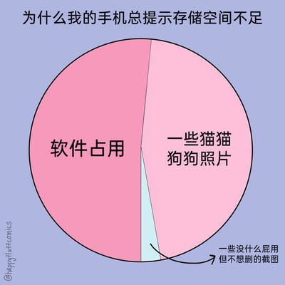 这是一张以手机存储空间不足为主题的趣味静态漫画，通过饼图的形式直观呈现手机存储的占用构成：占比最大的部分是软件占用，第二部分是用户舍不得删除的猫猫狗狗照片，占比最小的是一些没实际用处但用户依旧不愿删除的截图。漫画用贴近日常的场景和幽默的表述，精准戳中很多手机用户面临的存储焦虑，展现了用户在清理手机存储时的矛盾心态——明知部分内容无用却舍不得删除，同时软件占用的大量空间也是存储不足的主要原因。