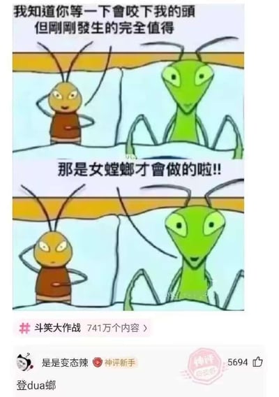 这是一张由上下两格组成的连环卡通梗图，核心玩了螳螂交配时雌性会吃掉雄性头部的生物习性梗，同时加入性别反转的反差笑点。上格画面中，棕色叉腰的昆虫（误以为自己是雄性）对着坐在床上的绿色螳螂说道：“我知道你等一下会咬下我的头 但刚刚发生的完全值得”，绿色螳螂淡定回应：“那是女螳螂才会做的啦!!”；下格画面里，棕色昆虫得知真相后表情变得愤怒，绿色螳螂则依旧保持淡定神态。图的下方是抖音平台“斗笑大作战”专区的评论区截图，热评用户“是是变态辣”留下评论“是是变态辣 登dua螂”，玩了闽南语谐音梗，“登dua螂”是网络热梗，进一步放大了搞笑效果。
