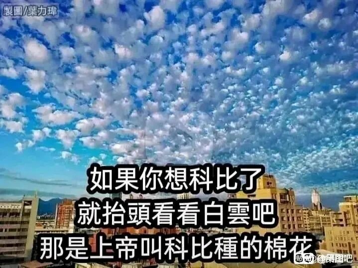 科比·布莱恩特