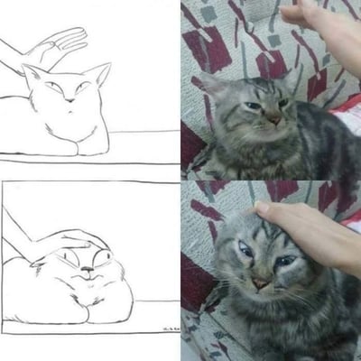 暂无描述