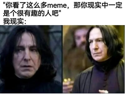 这是一张典型的对比梗图，上面文字表达了“你看了这么多meme，那你现实中一定很有趣吧”，而下方配图用影视角色的画面展现出与预期完全相反的现实自己形象，突出反差效果。图中用的是电影《哈利波特》中的斯内普教授镜头，通过他一本正经、严肃甚至有些呆板的形象，来表现“实际上我很无聊”。这里带有自嘲的意味，暗示了网络世界和现实生活的形象落差。

没有发现谐音梗或暗示。梗主旨在于强烈反差和自我解嘲。