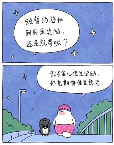 这是一幅由上下两部分组成的连环静态卡通图，整体场景设定在夜晚的户外步道，背景点缀着闪烁的星星，还有路灯、绿植和桥梁元素，营造出静谧的氛围。上半部分的白色对话气泡中提出了一个关于人际关系的疑问：“短暂的陪伴到底是奖励，还是惩罚呢？”；下半部分展示了两个卡通角色并肩走在步道上，一个是戴着粉色泳帽、穿着粉色带白花泳裤的白色胖卡通角色，另一个是黑色的小企鹅角色，白色角色的对话气泡给出了充满哲理的回答：“你不贪心便是奖励，你若期待便是惩罚。”，通过简洁的对话传递出关于心态与陪伴的治愈观点，引导人们以平常心看待短暂的相遇与陪伴。