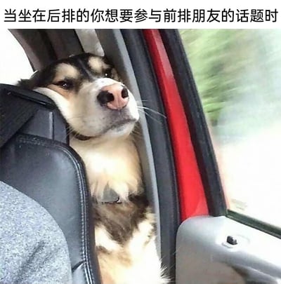 这是一张趣味网络梗图，图片上方配有文字“当坐在后排的你想要参与前排朋友的话题时”，图中一只疑似哈士奇的大型犬坐在汽车后排，努力将脑袋从前排座椅的缝隙中挤出来，眼睛半睁，神态带着急切又略带委屈的感觉，生动地拟人化还原了日常出行时，坐在后排的人想要融入前排朋友的对话、努力凑过去的状态，用宠物的可爱行为调侃这种日常场景，十分搞笑贴切，容易引发共鸣。