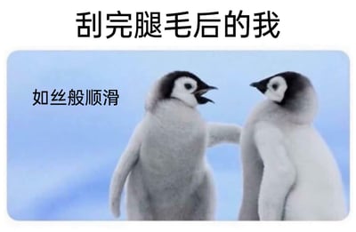 这是一张经过改编的搞笑表情包，顶部配有文字“刮完腿毛后的我”，画面主体是两只帝企鹅幼崽，左侧的帝企鹅幼崽伸出鳍状手触碰右侧的同伴，旁边配有文字“如丝般顺滑”。图片通过拟人化的手法，将帝企鹅幼崽的互动和刮完腿毛后皮肤顺滑的感受结合起来，用可爱的动物形象调侃自己刮完腿毛后的状态，生动又有趣，很适合在日常聊天中用来分享生活里的小细节感受。