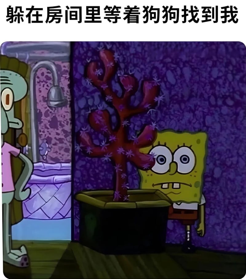 章鱼哥