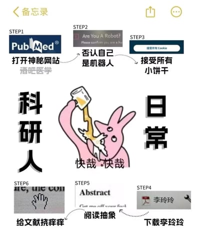 这是一张以科研人员日常工作流程为主题的幽默梗图，采用步骤式流程图设计。中心是一个粉色兔子形象举杯饮酒，配文"快哉快哉"。图中包含六个步骤：1.打开PubMed网站（被戏称为"酒吧医学"）；2.通过机器人验证（否认自己是机器人）；3.接受所有Cookie（被称为"小饼干"）；4.下载"李玲玲"（可能是某种软件或文件的戏称）；5.阅读摘要；6."给文献挠痒痒"（幽默表示标注文献）。整体风格轻松诙谐，用夸张比喻展现科研人员的日常工作场景。