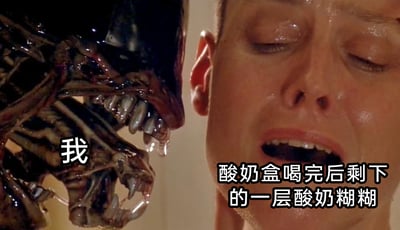 这是一张经过文字加注的《异形》系列电影剧照截图，画面左侧是电影中标志性的恐怖异形生物，它大张着布满利齿的嘴巴，口水流淌，姿态极具威胁性；右侧是电影主角蕾普莉，她双眼紧闭，面部满是汗水，神情痛苦又恐惧，还原了电影里异形威胁人类的紧张场景。网友为这张剧照添加了拟人化的文字，将异形标注为“我”，将蕾普莉标注为“酸奶盒喝完后剩下的一层酸奶糊糊”，用电影里的恐怖对峙场景，类比人们喝酸奶时面对盒底残留的、难以清理的酸奶糊糊的无奈，把恐怖场景转化为生活化的搞笑梗，用夸张的方式调侃日常里的小麻烦，让人忍俊不禁。
