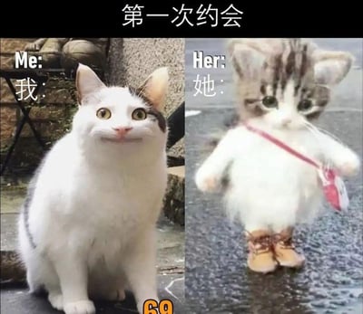 这张梗图采用猫咪和玩偶的搞怪对比，来表达男女（或双方便）初次约会时的可爱与紧张氛围。左侧是真猫，表情又憨又期待，右侧是穿着小靴子的毛绒猫玩偶，展现出萌态十足的互动感，上下分别标有Me（我）和Her（她），极富反差和幽默。画面结构简单易懂，经常用于社交网络调侃约会尴尬或二次元、宅文化氛围。无明显双关或暗示。
