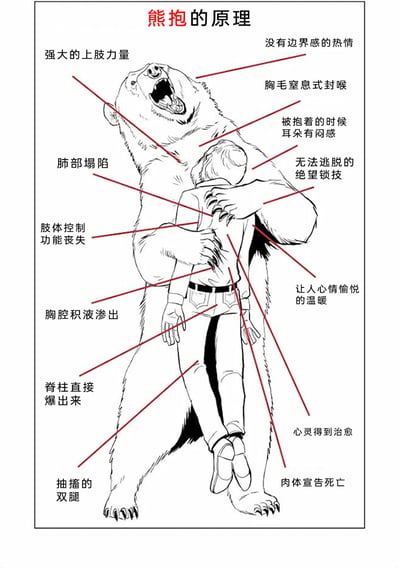 这是一张采用黑白线稿风格的搞笑科普类梗图，标题为“熊抱的原理”。画面呈现一只熊用强壮的上肢紧紧抱住一名人类的场景，并用红色线条标注出大量反差强烈的内容：一边是将熊抱拟人化的温馨描述，比如“让人心情愉悦的温暖”“心灵得到治愈”“没有边界感的热情”；另一边是真实的被熊攻击的致命伤害描述，包括“肺部塌陷”“脊柱直接爆出来”“肢体控制功能丧失”“肉体宣告死亡”等。通过这种温馨感受与残酷现实的强烈反差，制造出黑色幽默的效果，调侃了那种过度热情、令人窒息的“熊抱”行为。