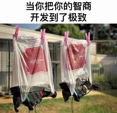 这是一张顶配底文格式的搞笑梗图，顶部是黑色加粗的配文“当你把你的智商开发到了极致”，下方是实拍的户外晾晒场景：两个普通的塑料购物袋被粉色夹子固定在晾衣绳上，袋口朝下，里面各装了一双运动鞋，晒鞋时滴落的污水会被塑料袋接住，不会弄脏地面或者其他晾晒的衣物，用成本极低的简单方法解决了晒鞋的常见痛点，用“智商开发到极致”的夸张表述来形容普通的生活巧思，反差感强烈，趣味性十足。