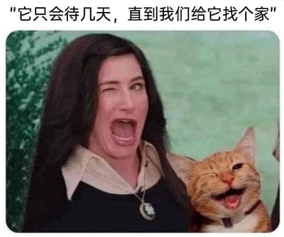 这是一张经过P图改编的文字加注梗图，素材源自美剧《星期三》的角色剧照。图中长发女性角色莫蒂西亚·亚当斯与身旁的橘猫做出完全同步的夸张表情——单眼眨动、嘴巴大张，看起来兴奋不已。图片上方配有文字“它只会待几天，直到我们给它找个家”，文字内容与图中人物和猫咪的兴奋表情形成强烈反差，用来调侃现实中很多原本打算暂时收养猫咪、计划后续为其寻找领养家庭的人，最终会因为和猫咪培养出深厚感情，反而自己留下猫咪的“真香”养宠经历，充满了幽默的生活气息。