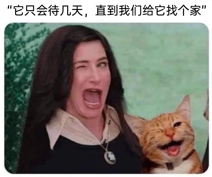 《星期三》