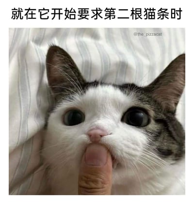 这是一张贴合养猫日常的搞笑表情包，图中的网红猫咪披萨猫（the_pizzacat）瞪大圆溜溜的眼睛，眼神里满是渴望，此时一根人类的手指堵住了它的嘴巴。上方配文“就在它开始要求第二根猫条时”，生动还原了猫咪吃完零食后还想索要更多，主人无奈阻止的场景，精准戳中养猫人的生活细节，充满趣味与共鸣感。