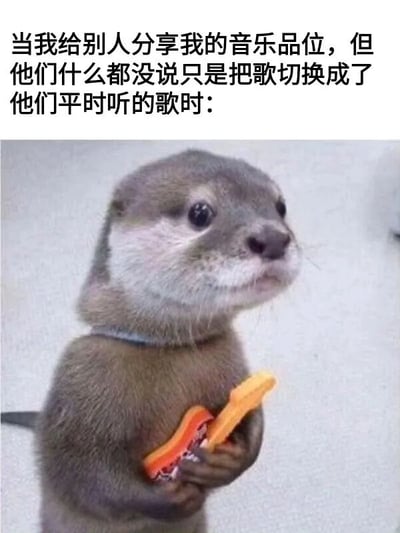 图片上方配有文字：'当我给别人分享我的音乐品位，但他们什么都没说只是把歌切换成了他们平时听的歌时：'，下方是一只水獭双手捧着橙色物体站立的照片。水獭表情略带困惑和无辜，眼神中透露出一丝不知所措，生动展现了分享音乐喜好却被对方无声切换歌曲时的尴尬与无奈心情。