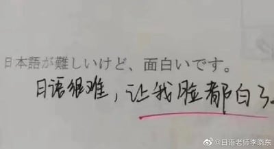 图片为一张手写文字的静态图，内容包含两行文字：上方是日语“日本語が難しいけど、面白いです。”（意为“日语很难，但是很有趣。”），下方是中文“日语很难，让我脸都白了。”，其中中文句子下方有一条红色下划线。整体通过幽默的方式表达了学习日语时遇到的困难和夸张的反应，“脸都白了”形象地体现了因难度带来的窘迫感。