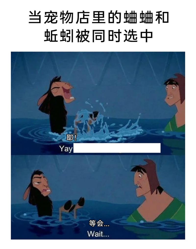 变身国王