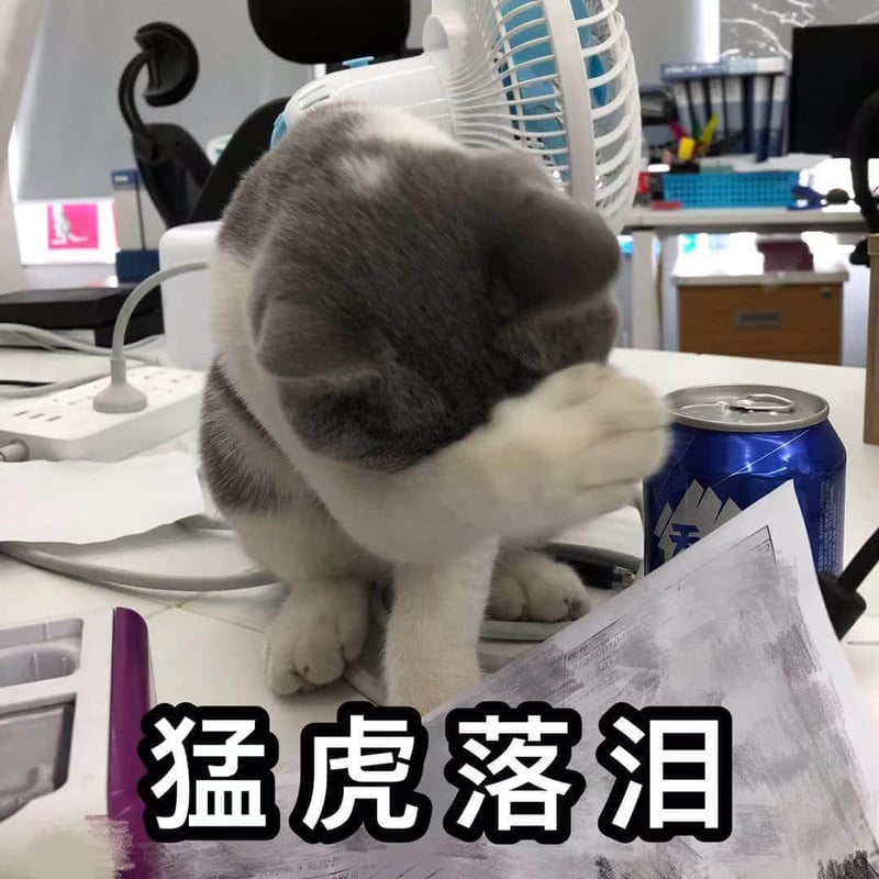 猫咪捂脸表情包：猛虎落泪