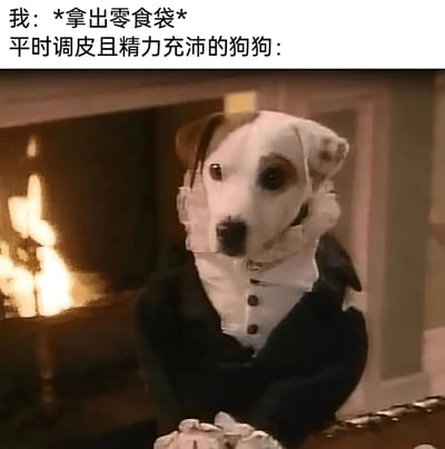 这张梗图通过对比展现了狗狗见到零食时的戏剧性转变。图片上方文字描述"我：*拿出零食袋* 平时调皮且精力充沛的狗狗："，下方则是一只穿着18世纪贵族服装（黑色外套配白色褶皱领）的狗狗，表情严肃地坐在壁炉前，形成强烈的反差萌效果。狗狗人性化的装扮和一本正经的姿态，幽默地表现了宠物在美食诱惑下瞬间变得乖巧懂事的可爱模样。